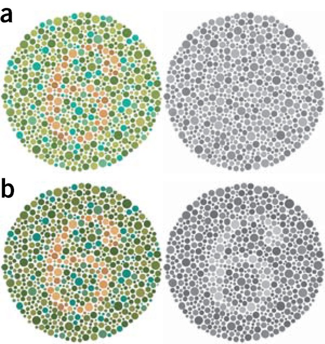 Points of view: Color blindness | Nature Methods