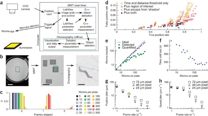 High-throughput behavioral analysis in C. elegans | Nature Methods