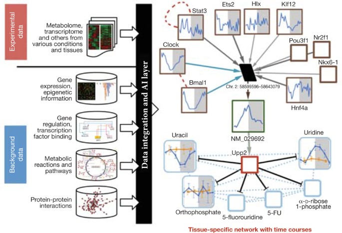 Circadiomics: integrating circadian genomics, transcriptomics, proteomics and metabolomics
