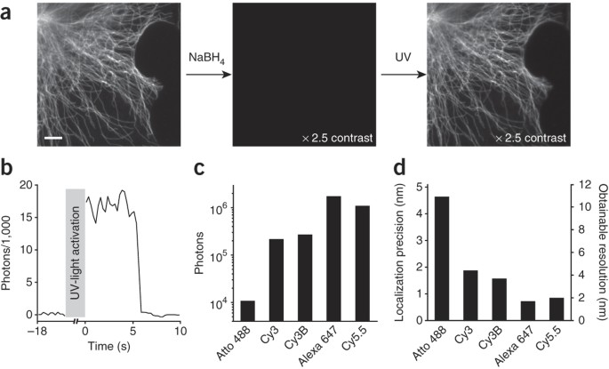 Ultrabright photoactivatable fluorophores created by reductive caging