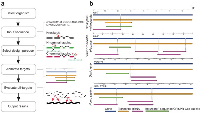 E Crisp Fast Crispr Target Site Identification Nature Methods