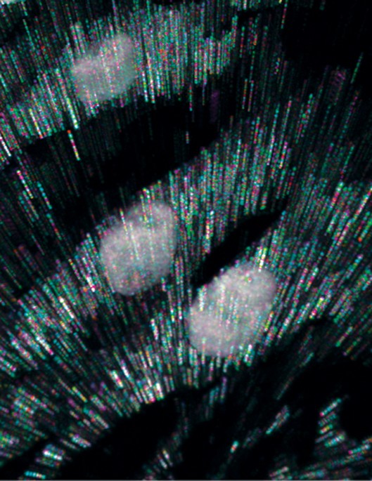 feature-image