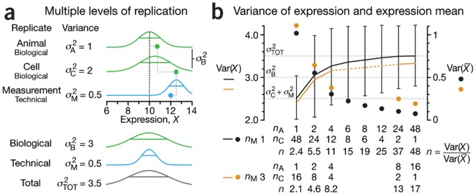 Replication | Nature Methods