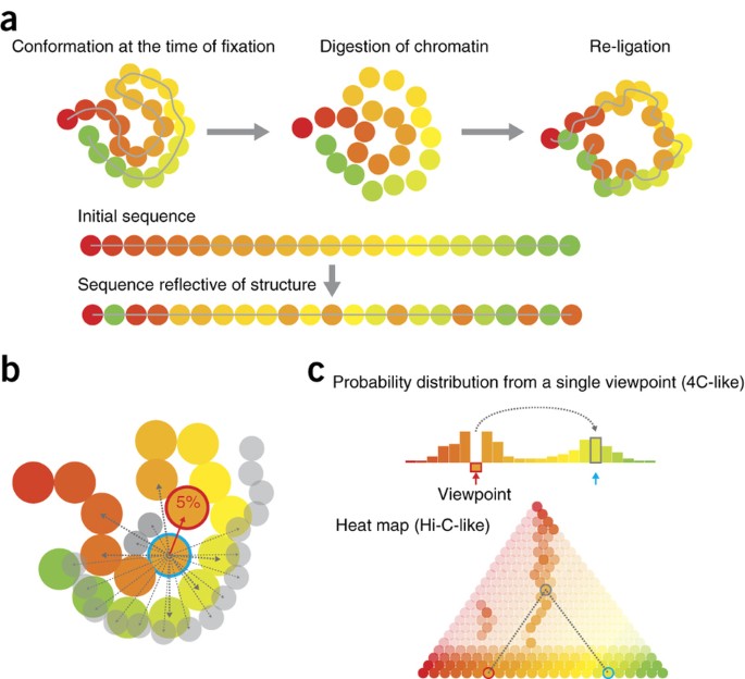 How Best To Identify Chromosomal Interactions A Comparison Of Approaches Nature Methods