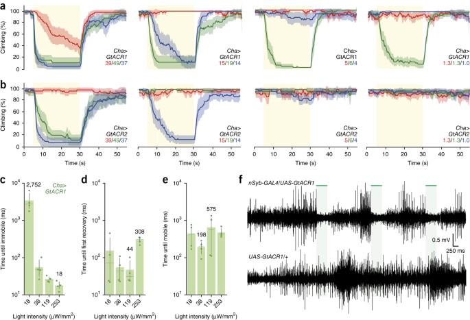 Optogenetic Inhibition Of Behavior With Anion Channelrhodopsins Nature Methods