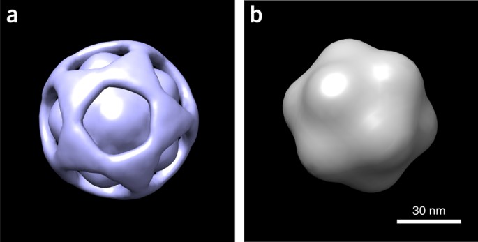 Conformational landscape of a virus by single-particle x-ray scattering
