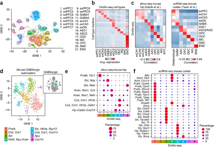 Single-cell RNA sequencing workflow