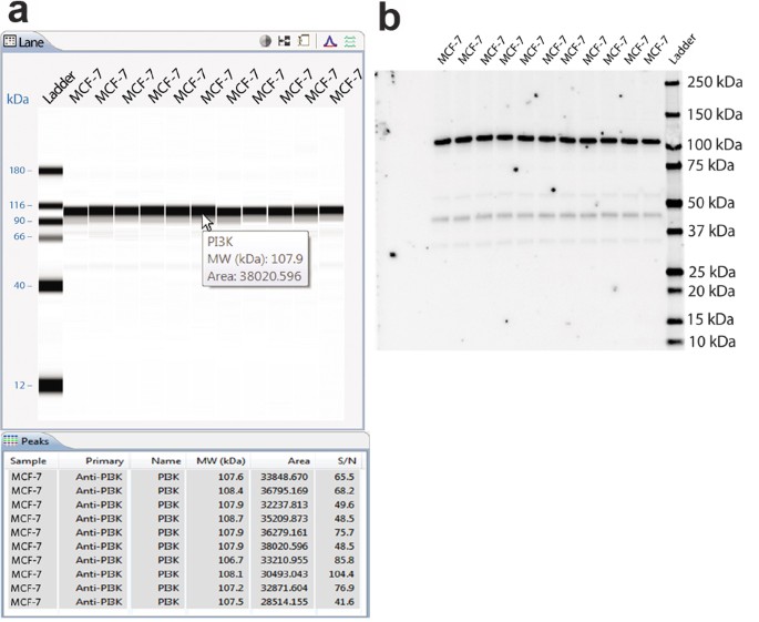 The Simple Western™: a gel-free, blot-free, hands-free Western blotting  reinvention | Nature Methods