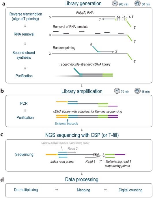 QuantSeq 3′ mRNA sequencing for RNA quantification | Nature Methods