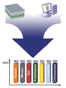 ProbeLibrary: A new method for faster design and execution of quantitative real-time PCR