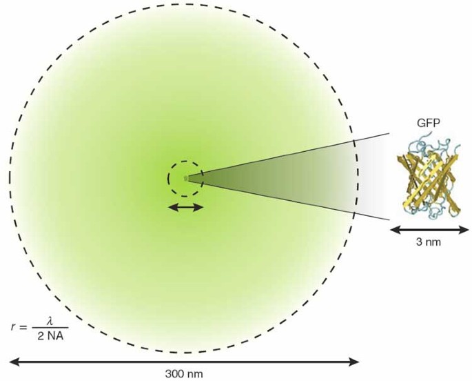 feature-image