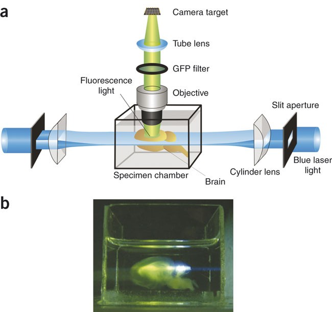 feature-image