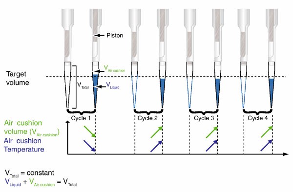 Contamination-pipetting: relative efficiency of filter tips compared to  Microman® positive displacement pipette