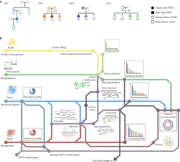 Integrated multi-omics of the human gut microbiome in a case study of familial type 1 diabetes