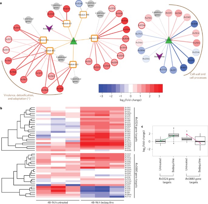 Network analysis identifies rv0324 and rv0880 as regulators of bedaquiline tolerance in mycobacterium tuberculosis
