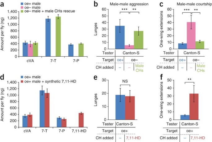 Hierarchical Chemosensory Regulation Of Male Male Social Interactions In Drosophila Nature Neuroscience Hierarchical Chemosensory Regulation Of Male Male Social Interactions In Drosophila Nature Neuroscience