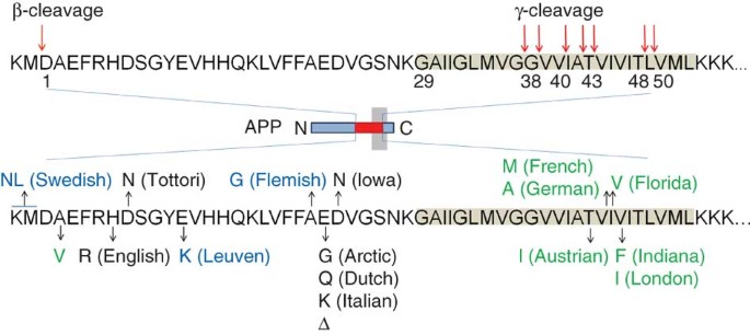 The Toxic Ab Oligomer And Alzheimer S Disease An Emperor In Need Of Clothes Nature Neuroscience