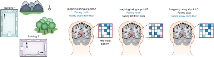 feature-image