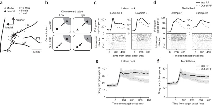 Coherent Neuronal Ensembles Are Rapidly Recruited When Making A