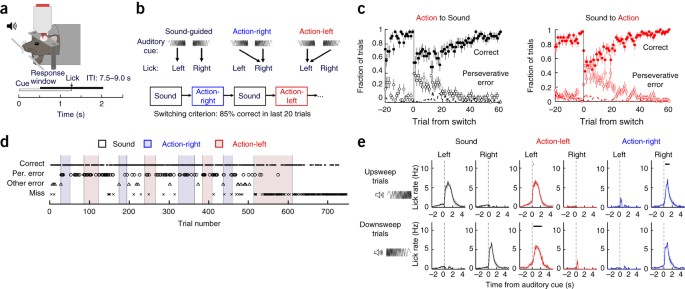 Betsy Trotwood Hindre kindben Fast and slow transitions in frontal ensemble activity during flexible  sensorimotor behavior | Nature Neuroscience