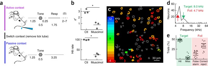 Parallel Processing By Cortical Inhibition Enables Context Dependent Behavior Nature Neuroscience Parallel Processing By Cortical Inhibition Enables Context Dependent Behavior Nature Neuroscience