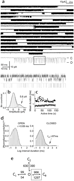 Modal gating of nmda receptors and the shape of their synaptic response