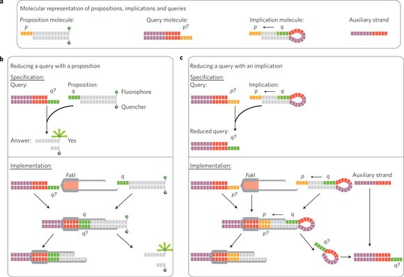 Molecular Implementation Of Simple Logic Programs Nature Nanotechnology