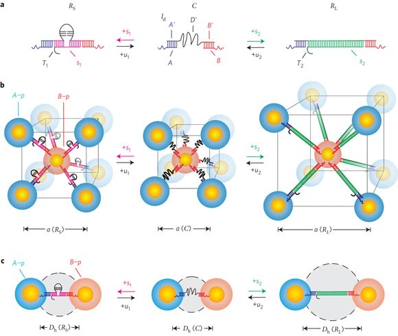 nature nanotechnology