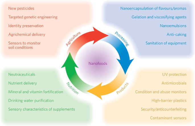 nanotechnology in food products