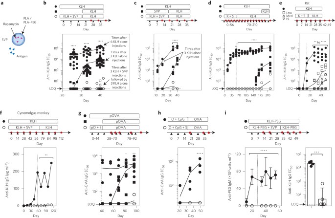 Improving The Efficacy And Safety Of Biologic Drugs With Tolerogenic Nanoparticles Nature Nanotechnology