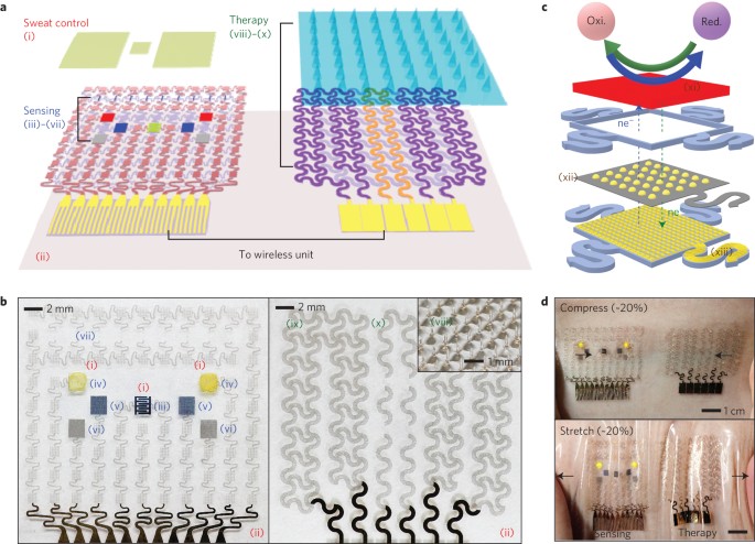 A graphene-based electrochemical device with thermoresponsive microneedles  for diabetes monitoring and therapy | Nature Nanotechnology