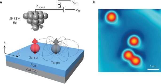 Atomic Scale Sensing Of The Magnetic Dipolar Field From Single Atoms Nature Nanotechnology