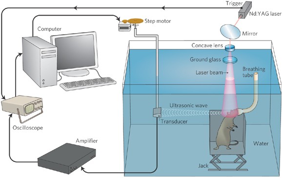 feature-image