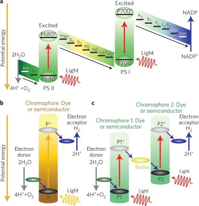 Artificial photosynthesis for solar water-splitting | Nature ...