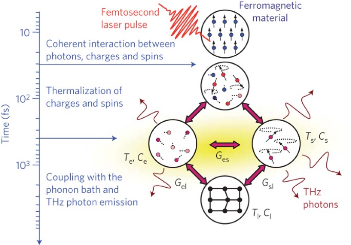 Coherent ultrafast magnetism induced by femtosecond laser pulses