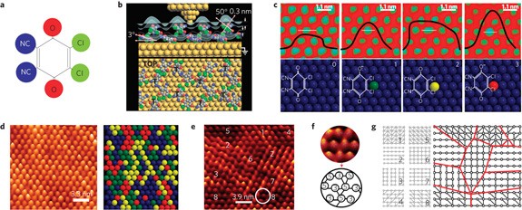 Massively parallel computing on an organic molecular layer