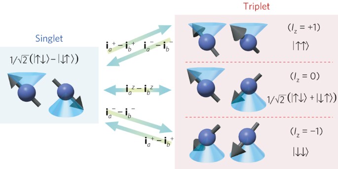 Electric-field-induced nuclear-spin flips mediated by enhanced spin–orbit  coupling