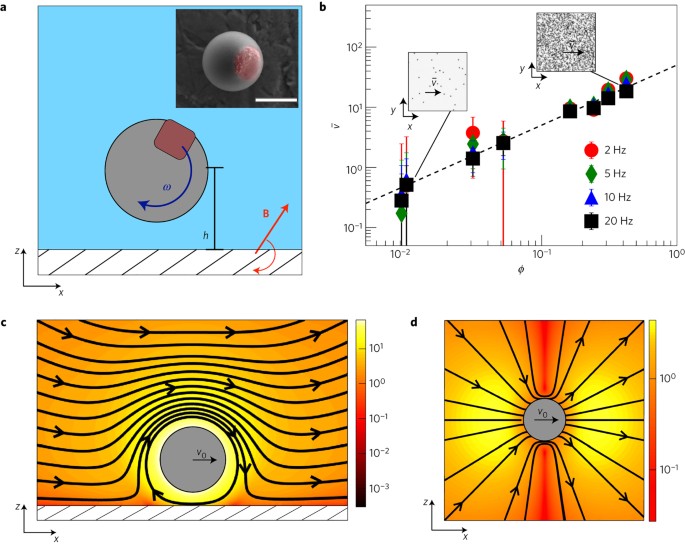 split-screen comparison showing traditional static physics textbook diagrams versus dynamic interactive motion visualization with flowing particles