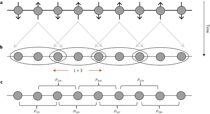 Efficient Tomography Of A Quantum Many Body System Nature Physics