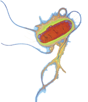 feature-image