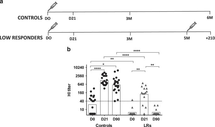 Dissecting the hemagglutinin head and stalk-specific igg antibody response in healthcare workers following pandemic h1n1 vaccination