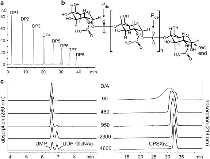 An efficient cell free enzyme-based total synthesis of a meningococcal vaccine candidate