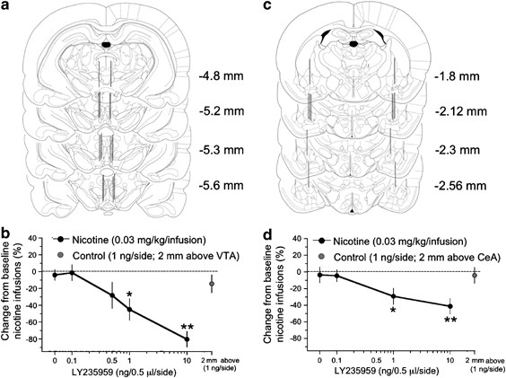Region-Specific Effects of Nicotine on Brain Activity: A Pharmacological  MRI Study in the Drug-Naïve Rat