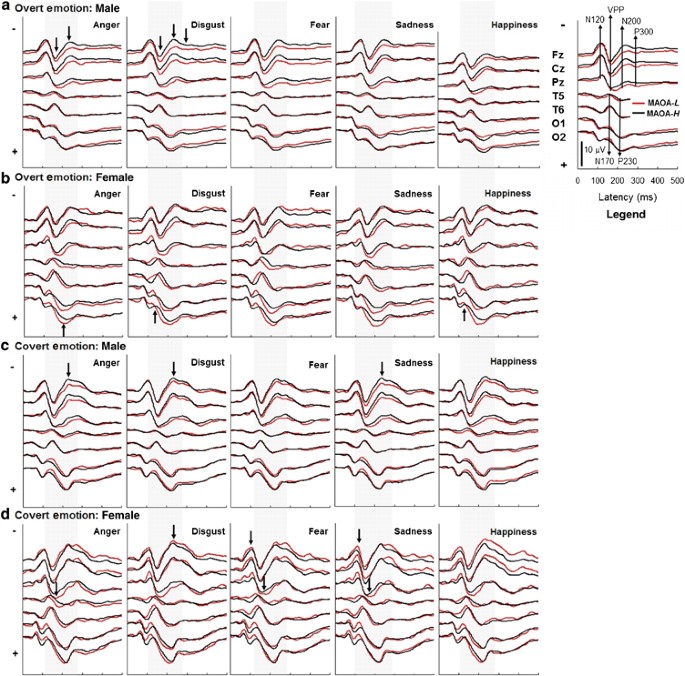 A Polymorphism Of The Maoa Gene Is Associated With Emotional Brain Markers And Personality Traits On An Antisocial Index Neuropsychopharmacology A Polymorphism Of The Maoa Gene Is Associated With Emotional Brain Markers And Personality Traits On An Antisocial Index Neuropsychopharmacology