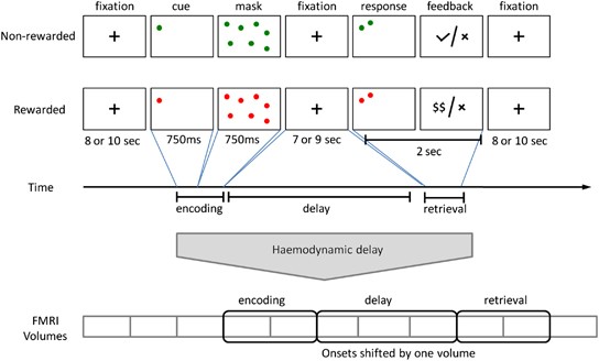 Pattern classification of working memory networks reveals differential effects of methylphenidate, atomoxetine, and placebo in healthy volunteers