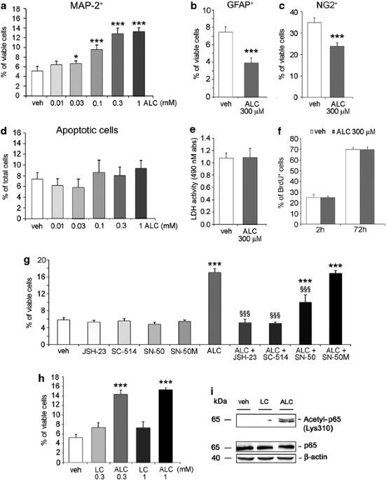 can acetyl l carnitine cause anxiety L-Carnitina Integralia 60 Cápsulas main image 1