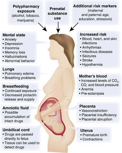 Developmental Consequences of Fetal Exposure to Drugs: What We ...