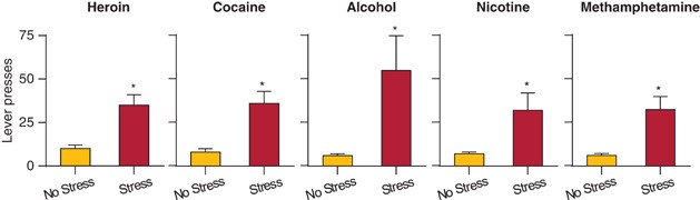 Stress-induced reinstatement of drug seeking: 20 years of progress