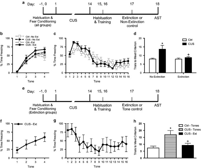 Therapeutic Effects Of Extinction Learning As A Model Of - 