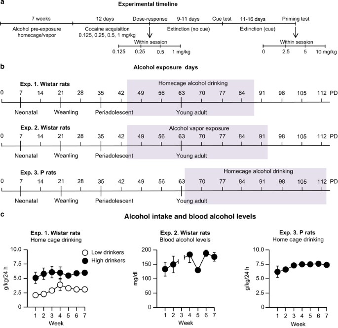 pic Pp Cocaïne Age prior exposure to alcohol has no effect